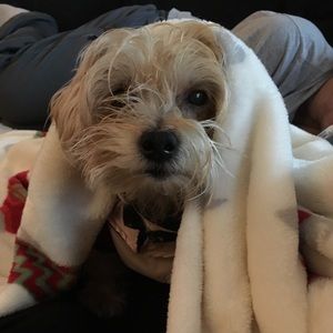 Meet your Posher, Alexandra